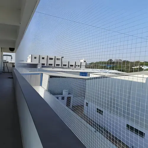 Common Area Bird Net